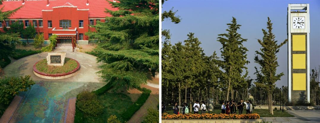 潍坊医学院小黄书
