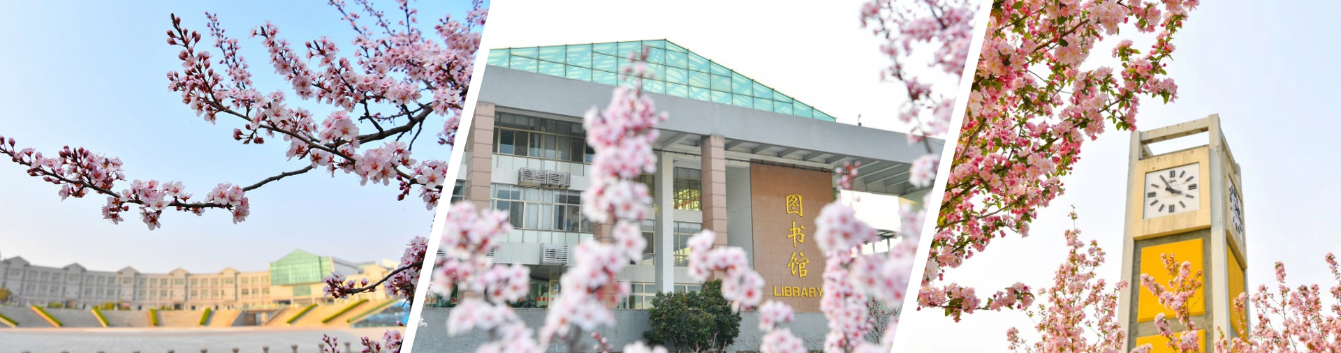 潍坊医学院小黄书
